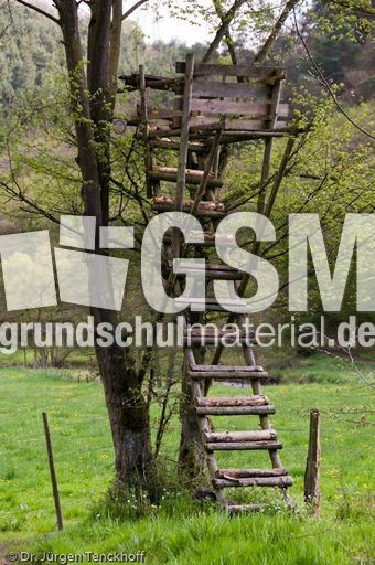 Hochstände (91 von 154).jpg